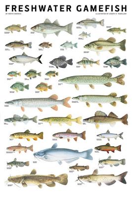 Freshwater Gamefish of North America Poster