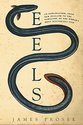 Eels: An Exploration, from New Zealand to the