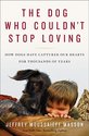 The Dog Who Couldn't Stop Loving: How Dogs Have